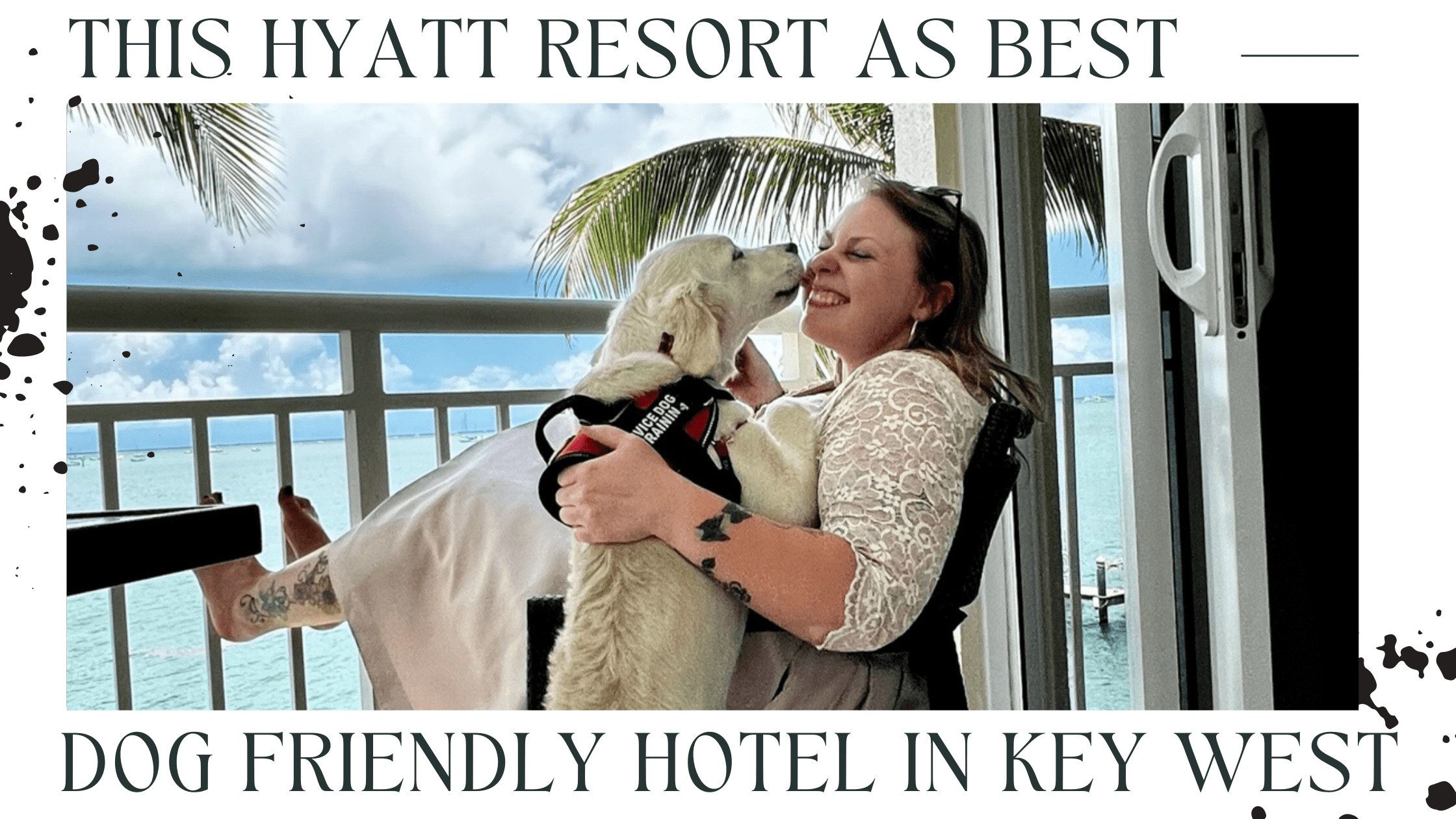 hyatt resort as best dog friendly hotel in key west banner