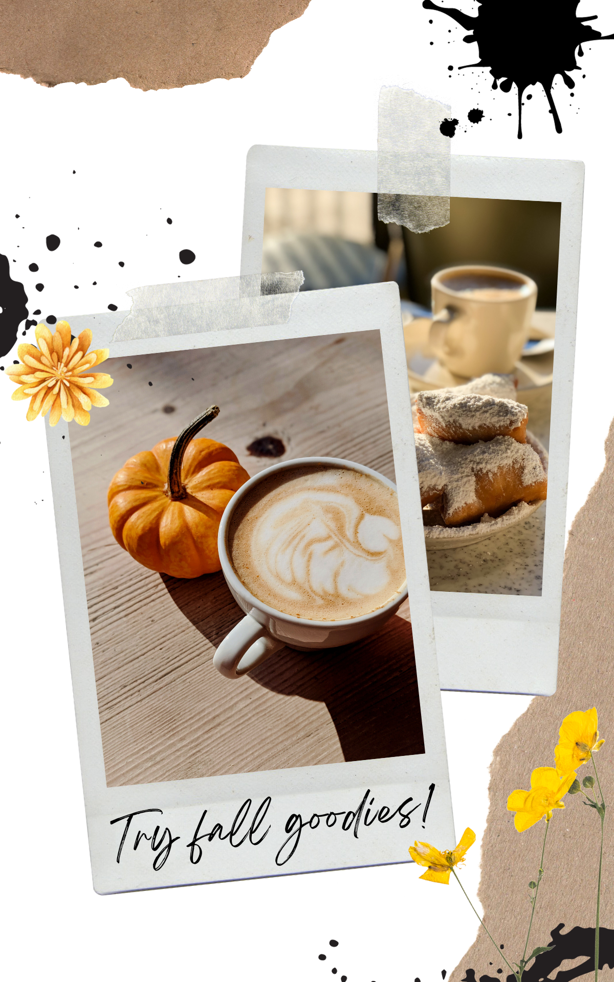 fall in new orleans coffee with a pumpkin and beignets