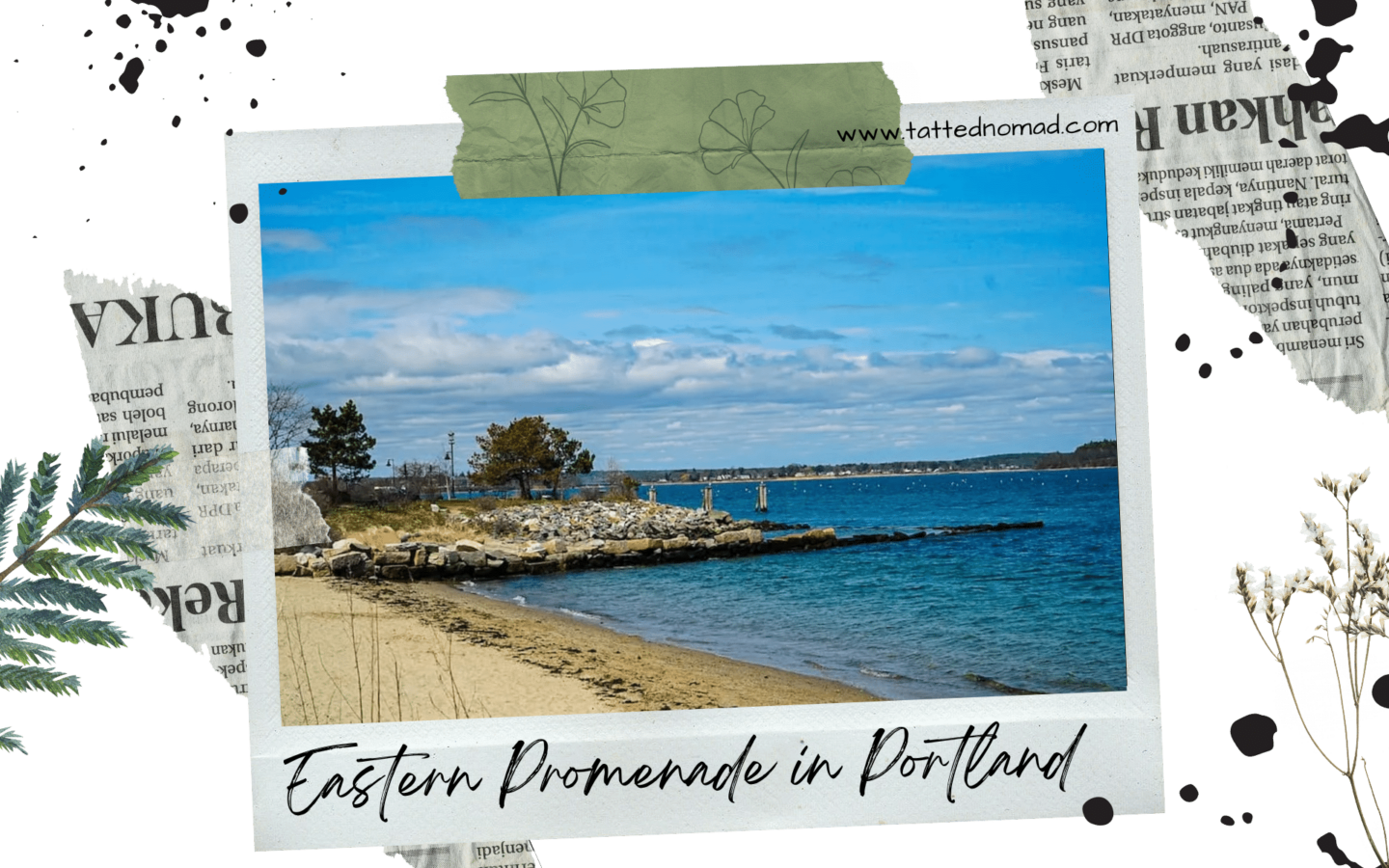 eastern promedane in portland maine